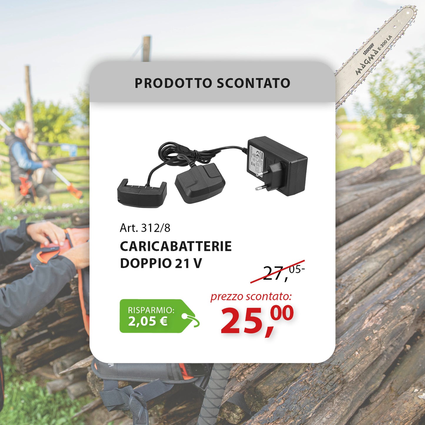 Caricabatterie doppio 21 V Stocker