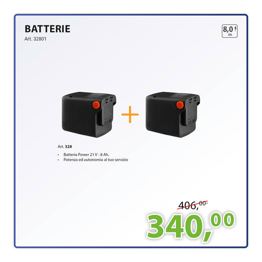 Kit 2 batterie 8,0 Ah 21 V Stocker