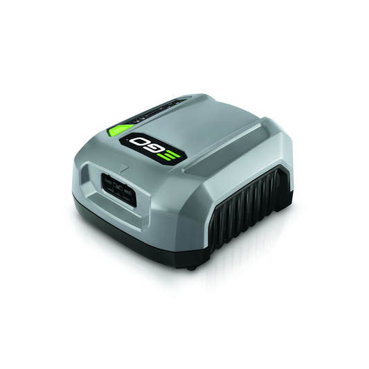 Caricabatterie con pulsante di ricarica rapida EGO CHX5500E
